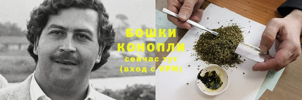 spice Горняк