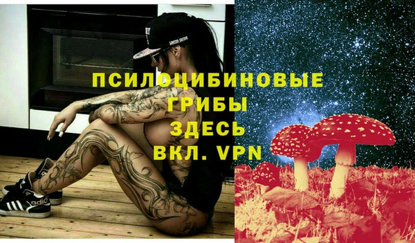 альфа пвп Дмитровск