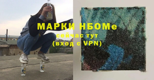 ПСИЛОЦИБИНОВЫЕ ГРИБЫ Горно-Алтайск