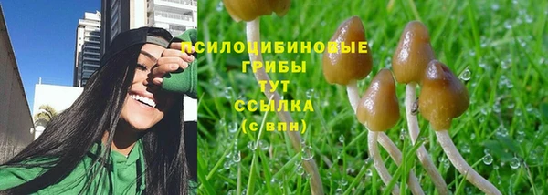 кокаин Горнозаводск