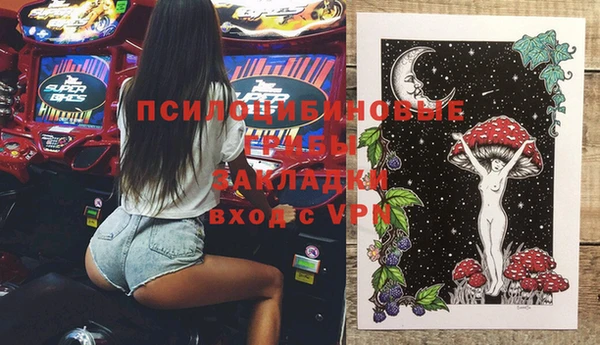 spice Горняк