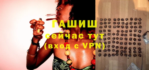 ПСИЛОЦИБИНОВЫЕ ГРИБЫ Горно-Алтайск
