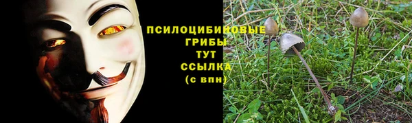 spice Горняк